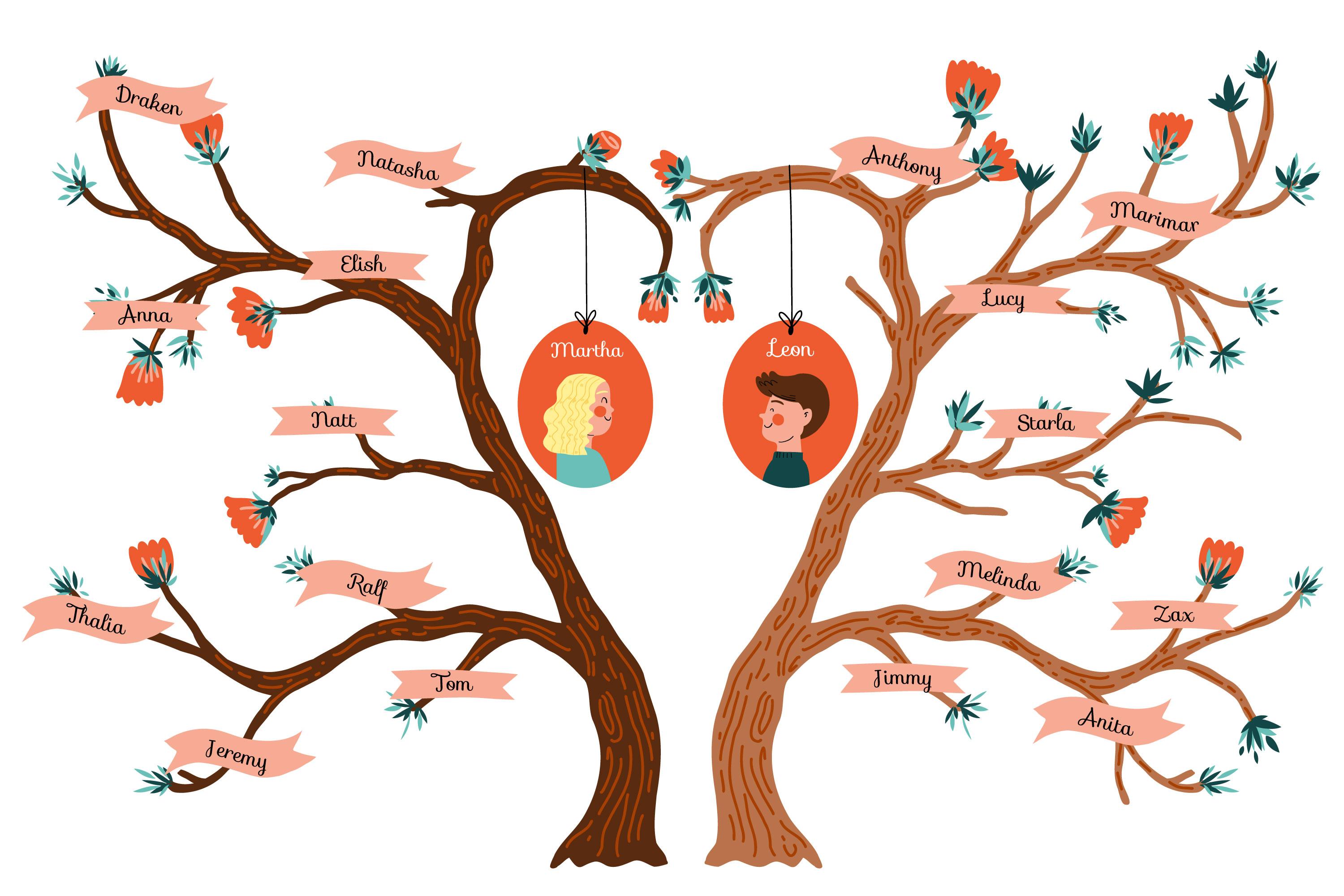 albero